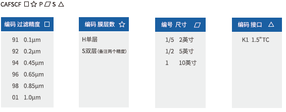CAF SCF囊式过滤器