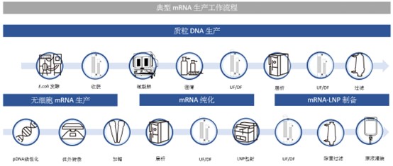 mRNA 疫苗