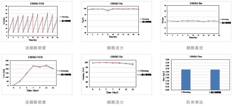 细胞培养瓶