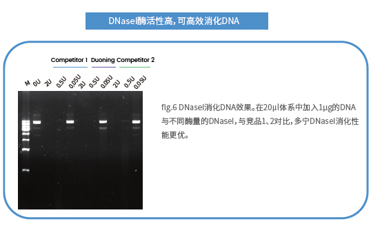 mRNA体外合成一站式解决方案