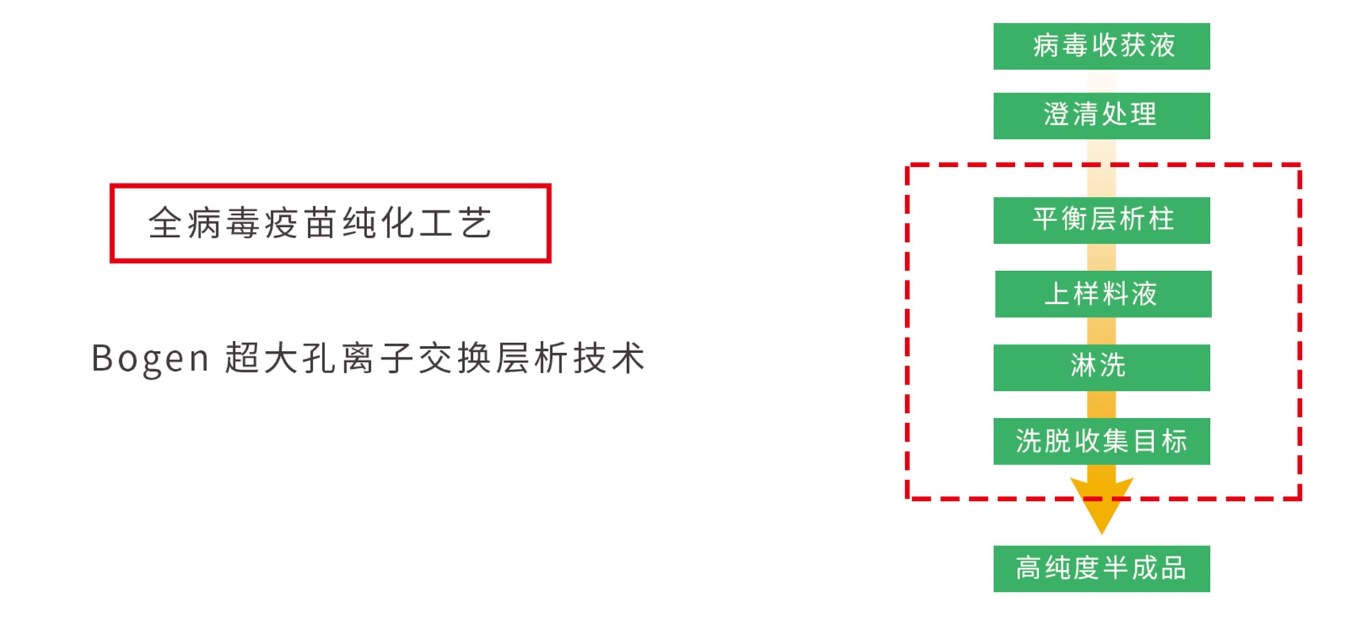 离子交换介质