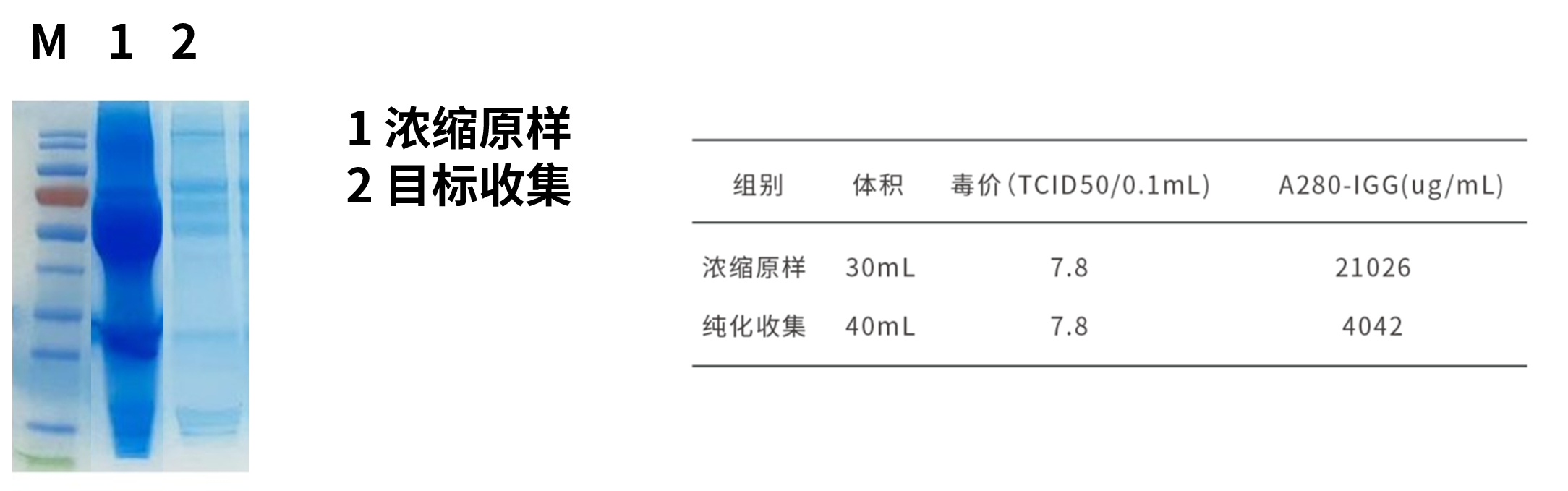 MixQ 病毒纯化专用介质