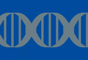DNA 疫苗
