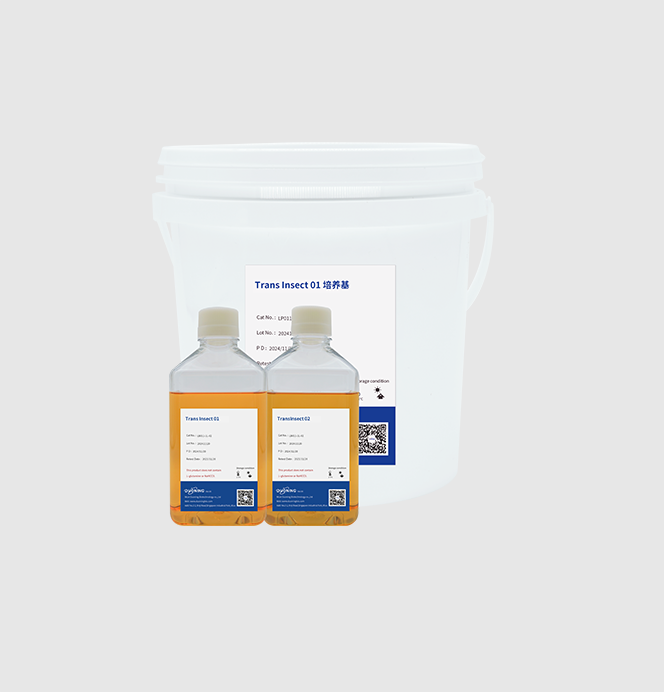 ユ*ノ様 大株出品 vp mix 胞子培養株 ユ*ノ様 大株出品 vp mix 胞子培養株